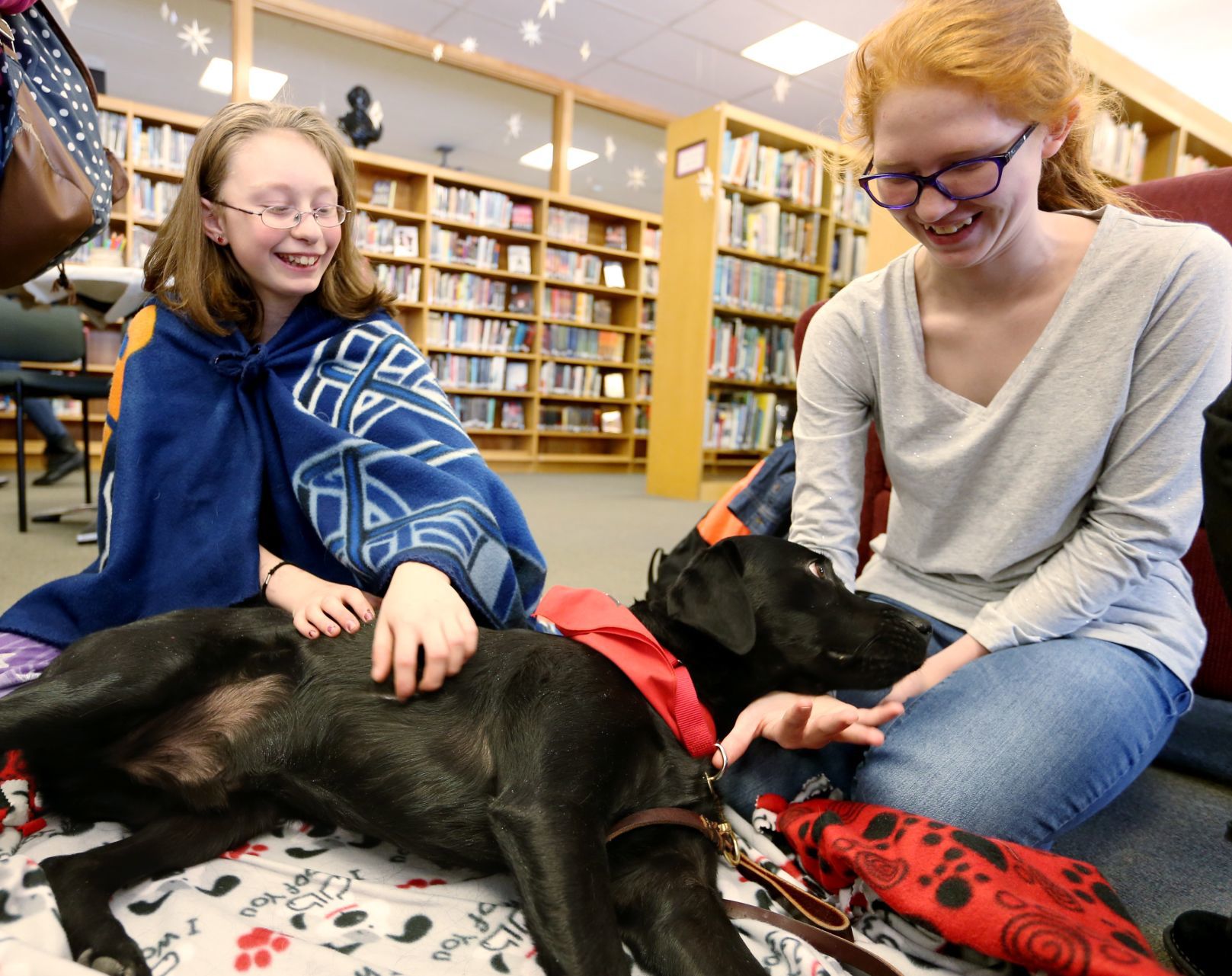 Therapy dogs